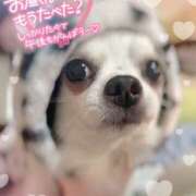 ヒメ日記 2026/03/18 12:40 投稿 絹代(きぬよ) 人妻最後の砦 小山店