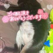 ヒメ日記 2026/03/26 12:37 投稿 絹代(きぬよ) 人妻最後の砦 小山店