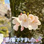 ヒメ日記 2026/03/29 12:34 投稿 絹代(きぬよ) 人妻最後の砦 小山店