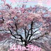 ヒメ日記 2026/03/30 09:05 投稿 絹代(きぬよ) 人妻最後の砦 小山店