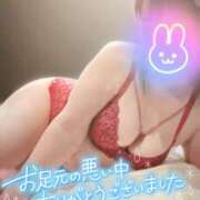 ヒメ日記 2026/04/05 21:04 投稿 絹代(きぬよ) 人妻最後の砦 小山店