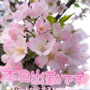 ヒメ日記 2026/04/11 10:29 投稿 絹代(きぬよ) 人妻最後の砦 小山店