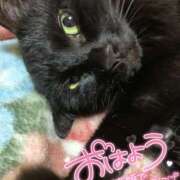 ヒメ日記 2026/04/15 08:21 投稿 絹代(きぬよ) 人妻最後の砦 小山店