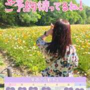 ヒメ日記 2026/04/24 08:21 投稿 絹代(きぬよ) 人妻最後の砦 小山店