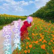 ヒメ日記 2026/08/12 10:28 投稿 絹代(きぬよ) 人妻最後の砦 小山店