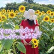 ヒメ日記 2026/08/16 12:10 投稿 絹代(きぬよ) 人妻最後の砦 小山店