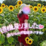 ヒメ日記 2026/08/20 16:11 投稿 絹代(きぬよ) 人妻最後の砦 小山店