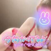ヒメ日記 2026/10/01 11:40 投稿 絹代(きぬよ) 人妻最後の砦 小山店