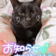 ヒメ日記 2026/10/15 20:03 投稿 絹代(きぬよ) 人妻最後の砦 小山店