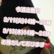ヒメ日記 2025/03/10 23:43 投稿 ひな 錦糸町人妻花壇