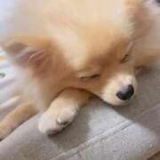 ヒメ日記 2026/05/20 09:05 投稿 おとは すぐ舐めたくて学園立川校〜舐めたくてグループ〜