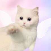 ヒメ日記 2025/02/02 19:06 投稿 まな 紅(くれない)