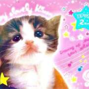 ヒメ日記 2025/04/08 21:17 投稿 まな 紅(くれない)