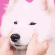 まな 🆘 紅(くれない)