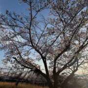 月野　きらり 今ね❤️ エテルナ京都