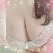 ヒメ日記 2025/11/15 04:39 投稿 ゆめ 人妻美人館