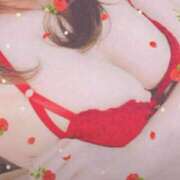 ヒメ日記 2026/03/10 04:36 投稿 ゆめ 人妻美人館