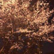 ヒメ日記 2025/04/03 22:25 投稿 はるか 大奥 梅田店