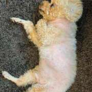 ヒメ日記 2025/04/22 23:09 投稿 はるか 大奥 梅田店