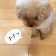 ヒメ日記 2025/06/06 22:01 投稿 はるか 大奥 梅田店