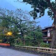 ヒメ日記 2025/07/02 02:21 投稿 はるか 大奥 梅田店