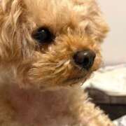 ヒメ日記 2025/07/06 01:20 投稿 はるか 大奥 梅田店