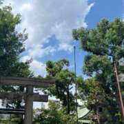 ヒメ日記 2025/09/16 05:54 投稿 はるか 大奥 梅田店