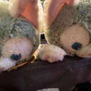 ヒメ日記 2025/03/15 15:43 投稿 ゆら ちゃんこ大阪十三