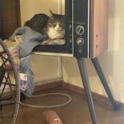 ヒメ日記 2025/03/19 22:59 投稿 ゆら ちゃんこ大阪十三