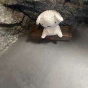 ヒメ日記 2025/04/06 01:55 投稿 ゆら ちゃんこ大阪十三