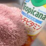 ヒメ日記 2025/04/09 00:34 投稿 ゆら ちゃんこ大阪十三