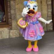 ヒメ日記 2026/01/22 02:57 投稿 ゆら ちゃんこ大阪十三