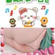 ヒメ日記 2025/02/13 14:57 投稿 森つばさ 五十路マダム 博多店