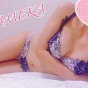 ヒメ日記 2025/02/13 12:40 投稿 ひめか ドッチパイモミ 越谷店