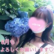 ヒメ日記 2025/06/03 14:50 投稿 ひめか ドッチパイモミ 越谷店