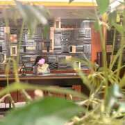 ヒメ日記 2025/11/20 19:31 投稿 ひめか ドッチパイモミ 越谷店