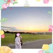 ヒメ日記 2026/01/22 19:50 投稿 ひめか ドッチパイモミ 越谷店