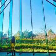 ヒメ日記 2026/01/28 08:40 投稿 ひめか ドッチパイモミ 越谷店