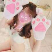 ヒメ日記 2025/09/20 04:06 投稿 つーにゃん☆EX猫嬢☆ 発情期限定!!即ズボ動物愛護団体