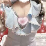 ヒメ日記 2025/06/07 03:46 投稿 きろにゃん★夢のようなご奉仕猫★ 発情期限定!!即ズボ動物愛護団体