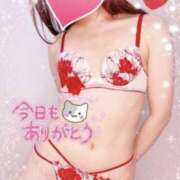 ヒメ日記 2025/05/31 01:04 投稿 ぺぺにゃん☆言いなり従順ニャンコ☆ 発情期限定!!即ズボ動物愛護団体