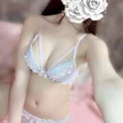 ヒメ日記 2025/06/23 02:13 投稿 れむにゃん☆ご奉仕精神全開☆ 発情期限定!!即ズボ動物愛護団体