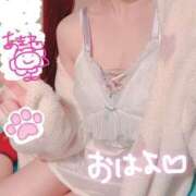 ヒメ日記 2025/07/14 03:45 投稿 れむにゃん☆ご奉仕精神全開☆ 発情期限定!!即ズボ動物愛護団体