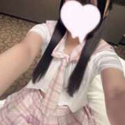 ヒメ日記 2026/08/07 04:58 投稿 ぽんにゃん☆エロ猫超融合☆ 発情期限定!!即ズボ動物愛護団体
