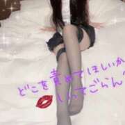 ヒメ日記 2025/06/09 21:29 投稿 ぷーにゃん☆EX猫嬢☆ 発情期限定!!即ズボ動物愛護団体