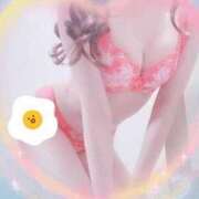 ヒメ日記 2025/08/20 22:49 投稿 ぷーにゃん☆EX猫嬢☆ 発情期限定!!即ズボ動物愛護団体