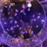 ヒメ日記 2025/10/24 04:03 投稿 ぷーにゃん☆EX猫嬢☆ 発情期限定!!即ズボ動物愛護団体