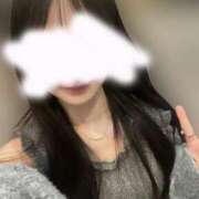 ヒメ日記 2025/05/31 00:41 投稿 わいにゃん☆超絶美少猫☆ 発情期限定!!即ズボ動物愛護団体