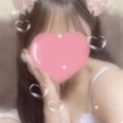 ヒメ日記 2025/06/04 03:14 投稿 わいにゃん☆超絶美少猫☆ 発情期限定!!即ズボ動物愛護団体