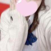 ヒメ日記 2025/06/05 05:57 投稿 わいにゃん☆超絶美少猫☆ 発情期限定!!即ズボ動物愛護団体